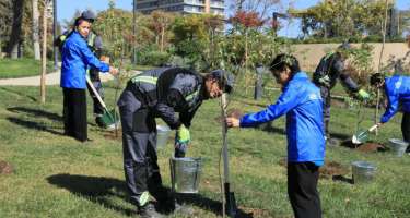 Mis.Az - Son Xeberler