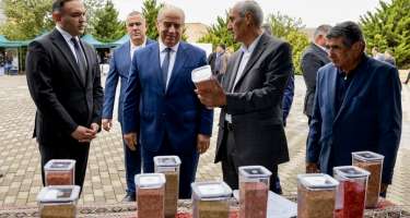 Mis.Az - Son Xeberler