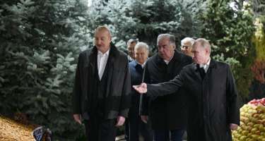 Mis.Az - Son Xeberler