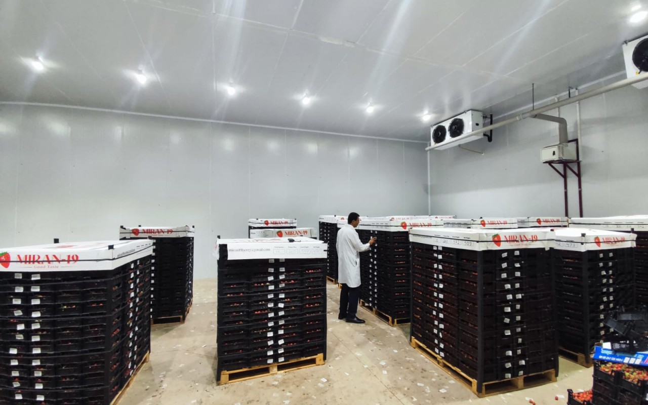 Mis.Az - Son Xeberler