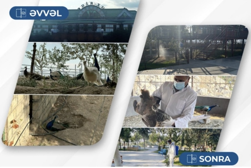 Mis.Az - Son Xeberler